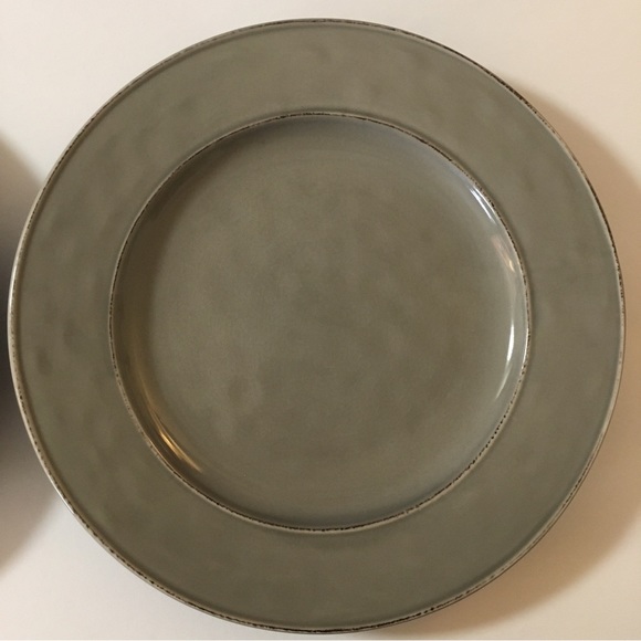 2 Pier 1 Imports Martillo Fog Stoneware Round Dinner Plates - Picture 7 of 14